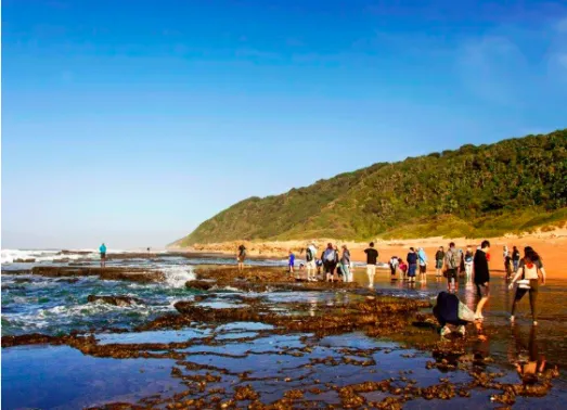 Best beaches in Bluff Durban including Ansteys Beach