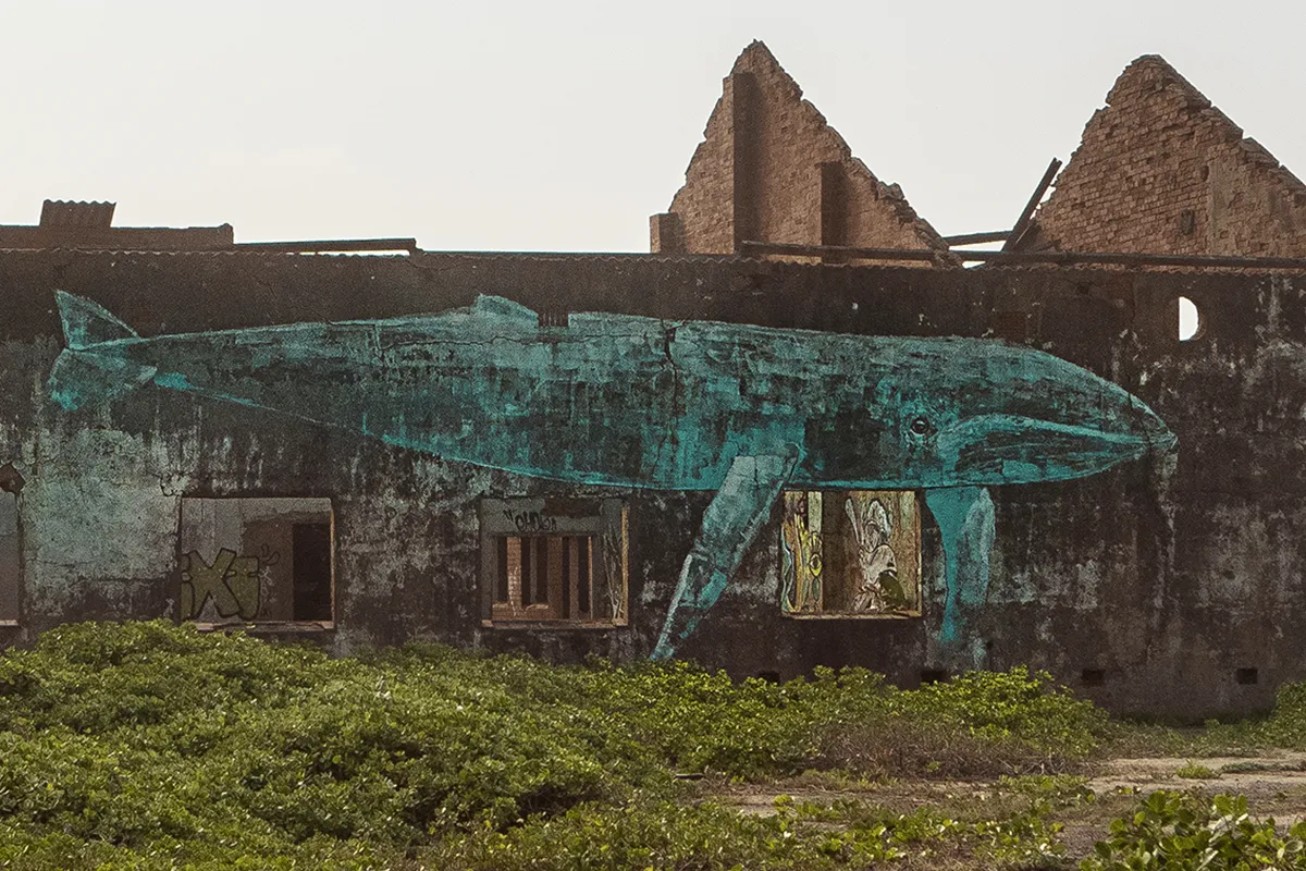 Bluff whaling station history Durban