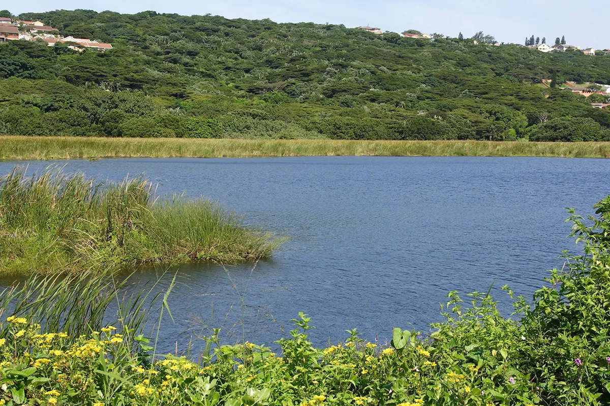 Nature and coastal walks in Bluff Durban
